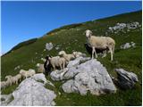 Planina Blato - Mala Tičarica